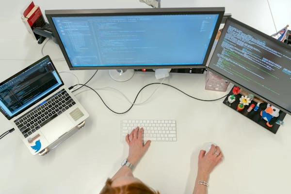 Desarrollo de software personalizado para empresas